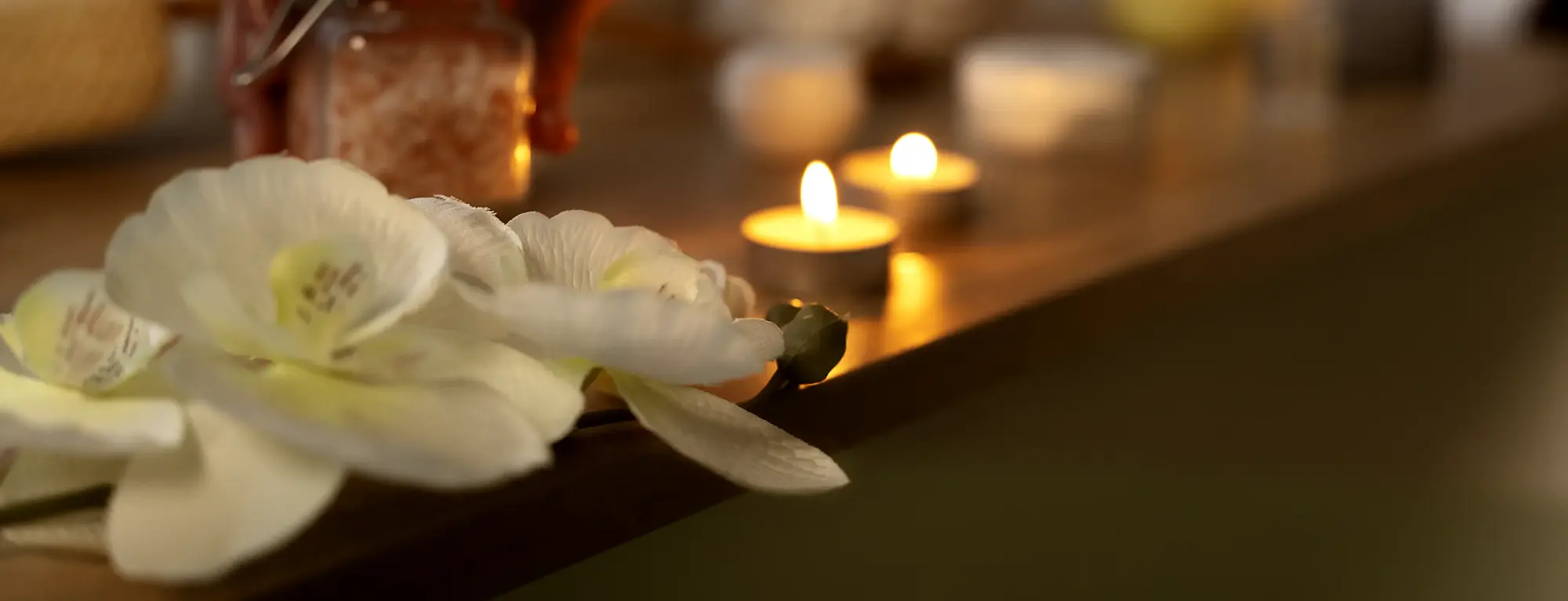 Maa Travel, Ayurveda Tours in Sri Lanka