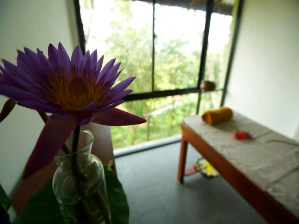 Mangrove Escapes Resort